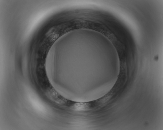 X0000116490526200912231154