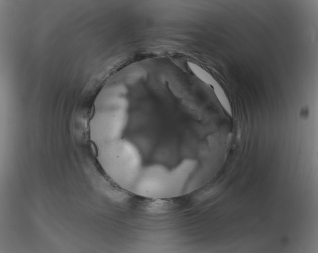 X0000116490527200912231154