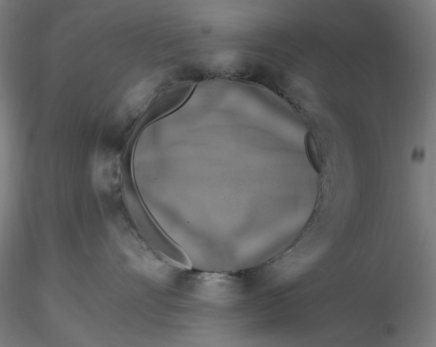 X0000116490528200912231154