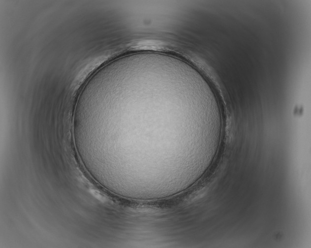 X0000116490529200912231153