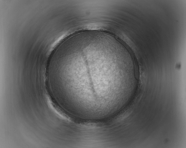 X0000116490530200912231153