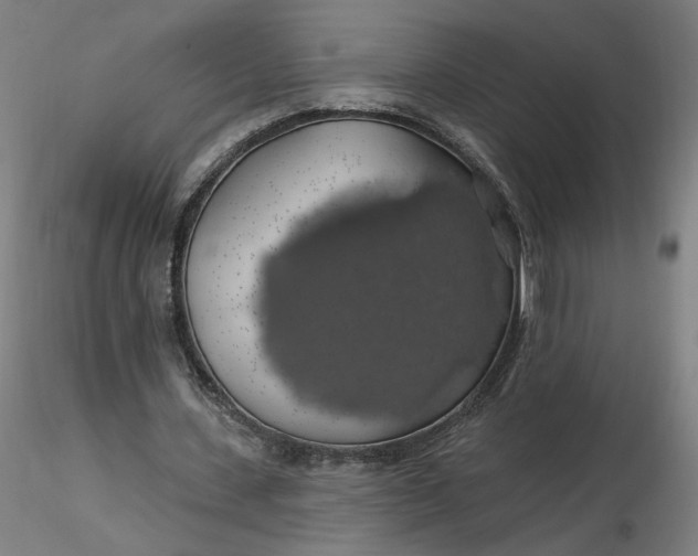 X0000116490531200912231153