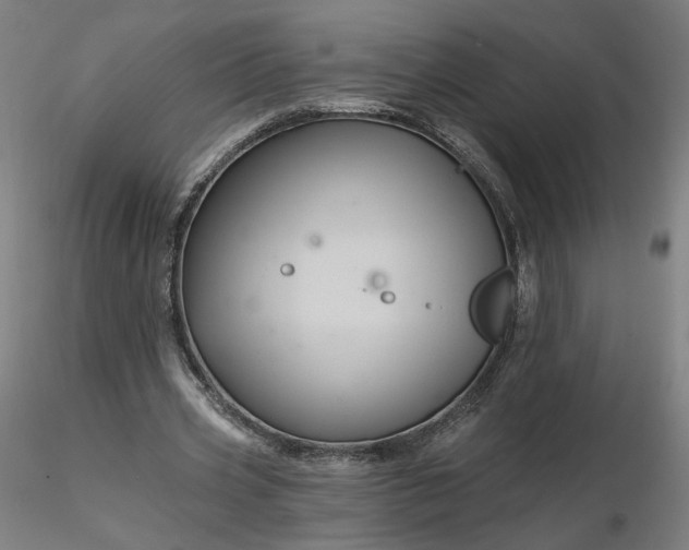 X0000116490533200912231153