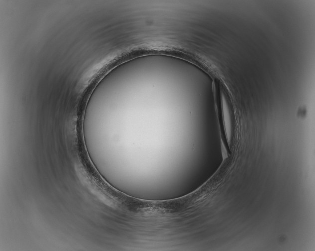 X0000116490535200912231153