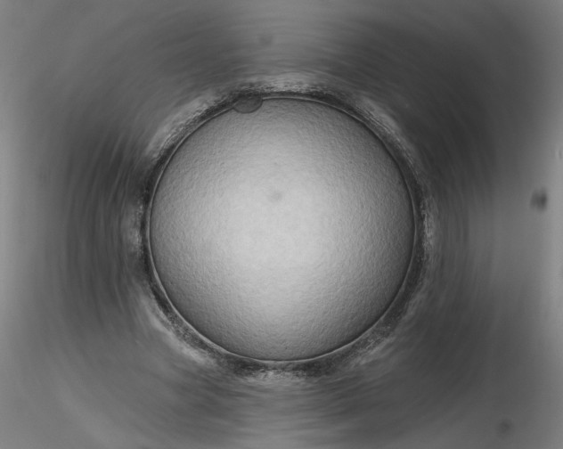 X0000116490537200912231153