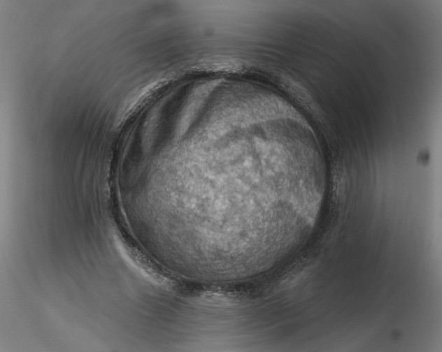 X0000116490538200912231153