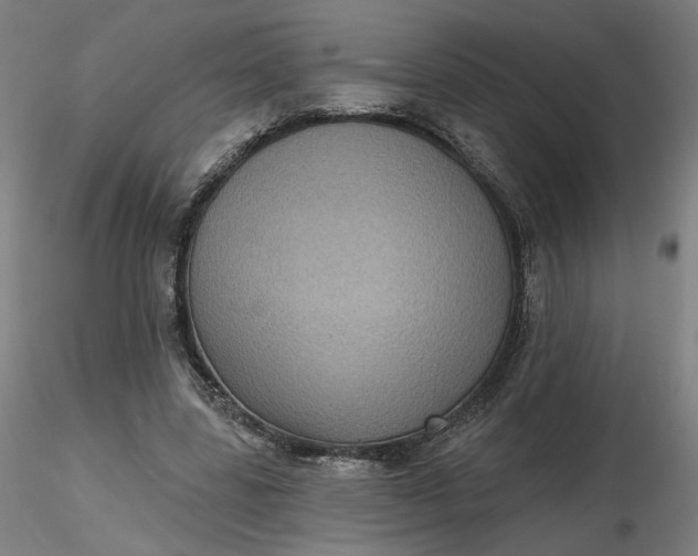 X0000116490539200912231153