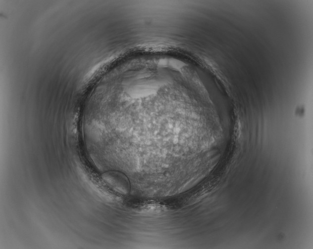 X0000116490543200912231153