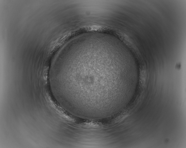 X0000116490545200912231153