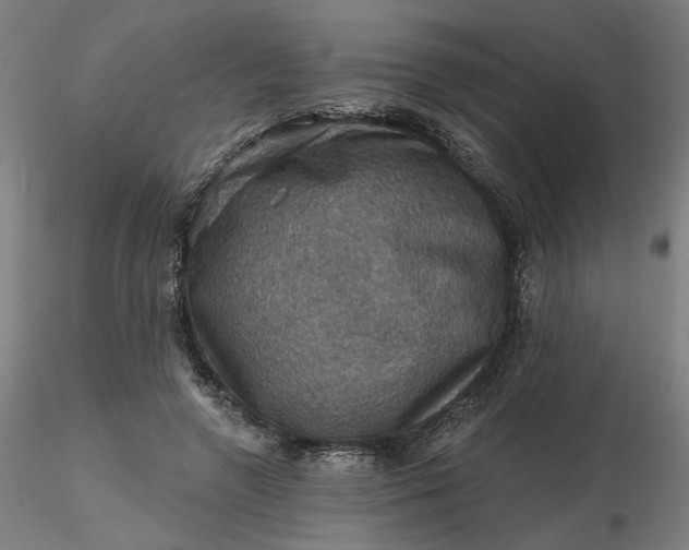 X0000116490546200912231153