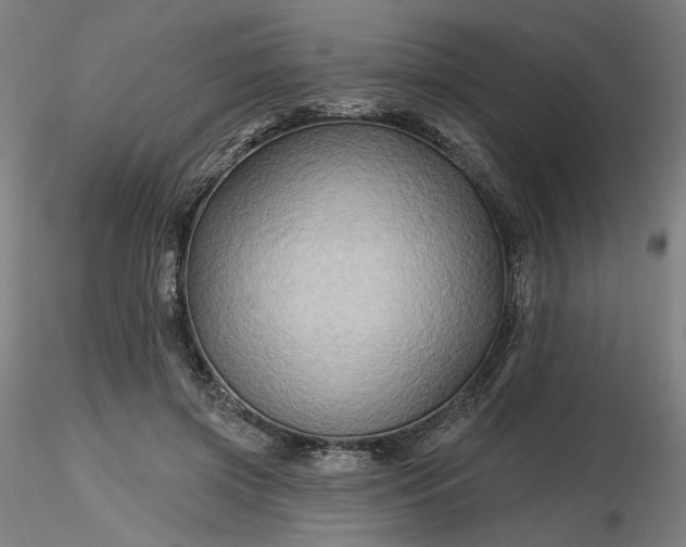 X0000116490549200912231153