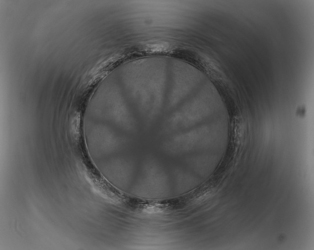 X0000116490550200912231153