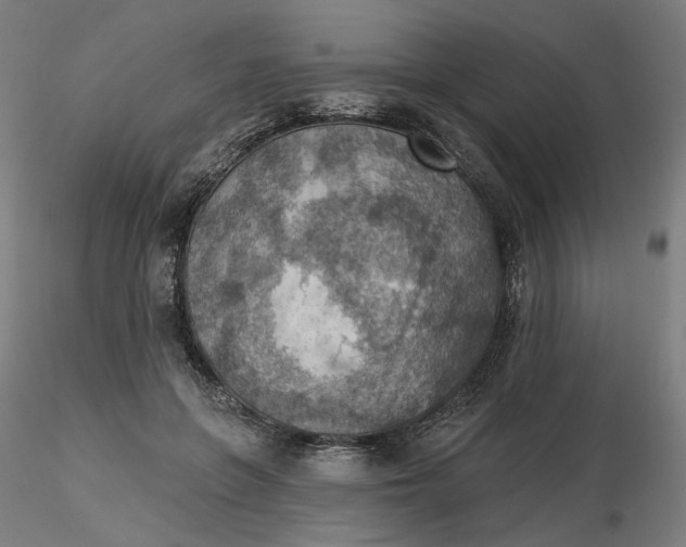 X0000116490551200912231154