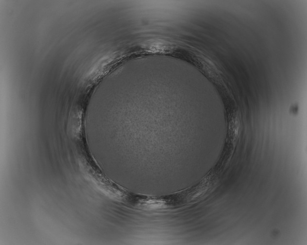 X0000116490554200912231154