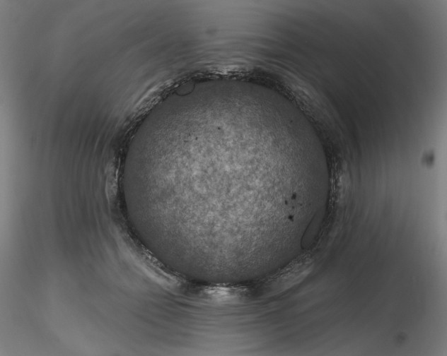 X0000116490558200912231154