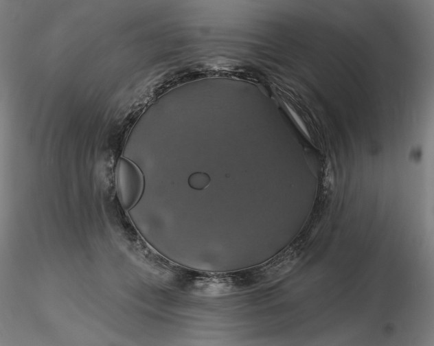 X0000116490559200912231154