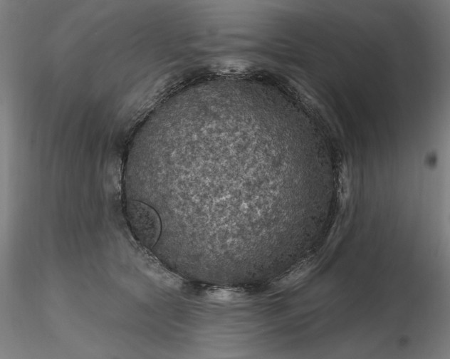 X0000116490561200912231154