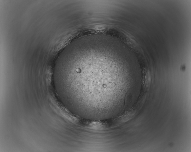 X0000116490562200912231154