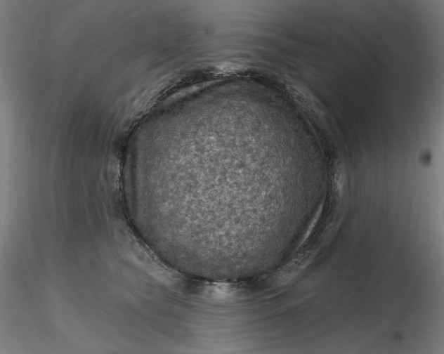 X0000116490565200912231154