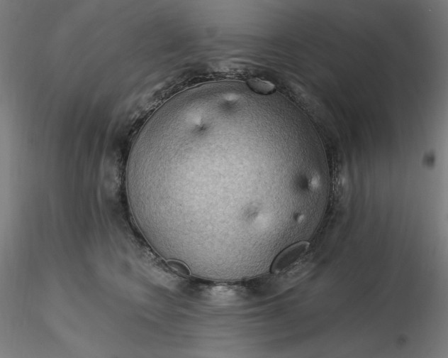 X0000116490566200912231154