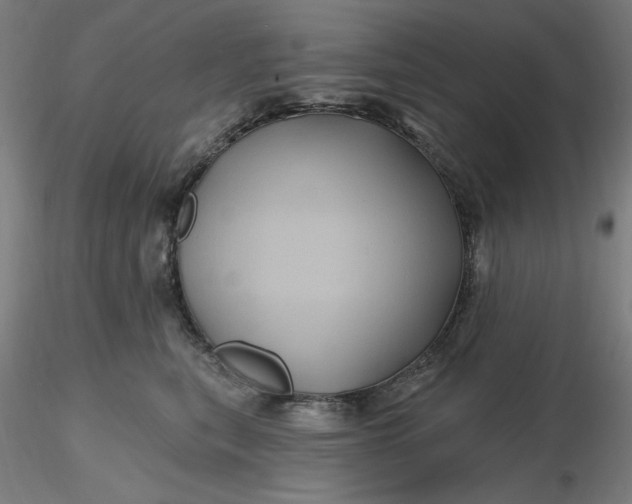 X0000116490567200912231154