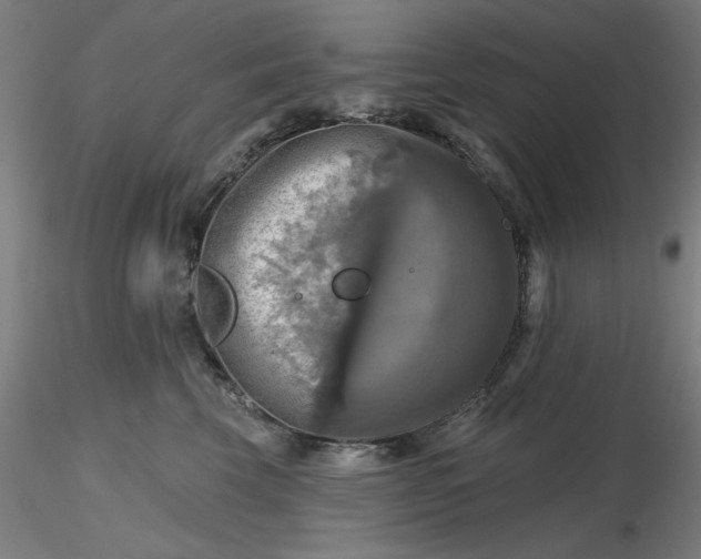 X0000116490569200912231154