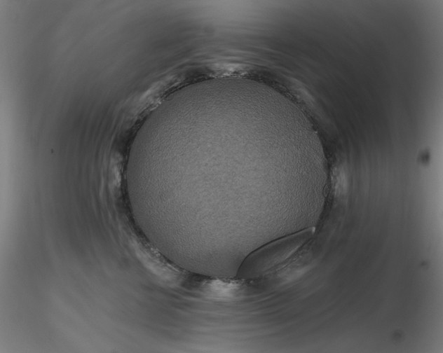 X0000116490570200912231154