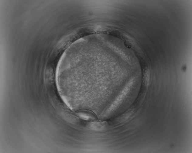 X0000116490571200912231154