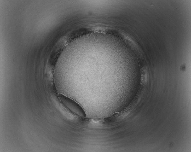 X0000116490573200912231154