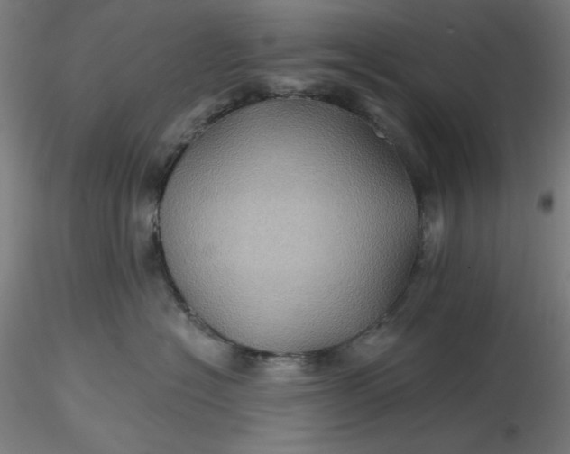 X0000116490574200912231154