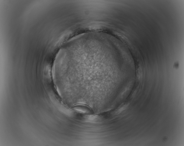 X0000116490575200912231154