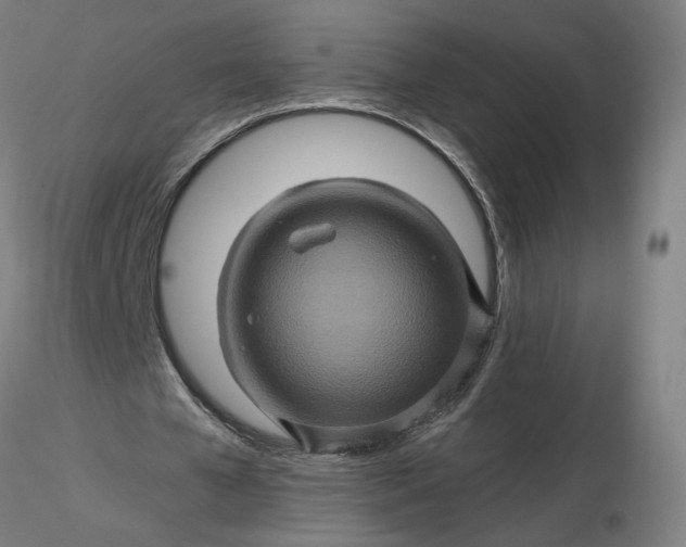 X0000116490577200912231153