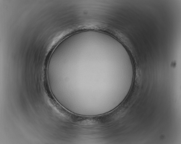 X0000116490578200912231153