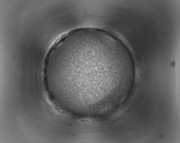 X0000116490580200912231153