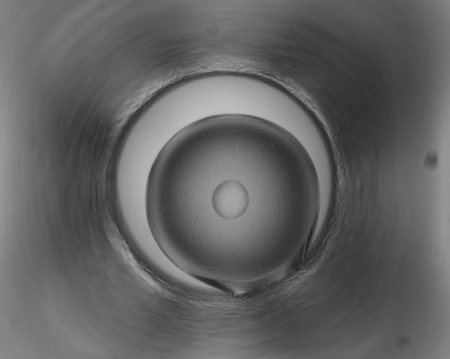 X0000116490581200912231153