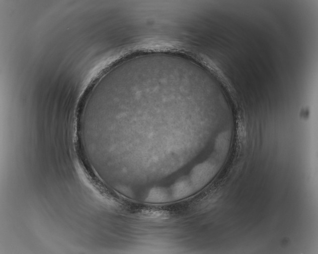 X0000116490582200912231153