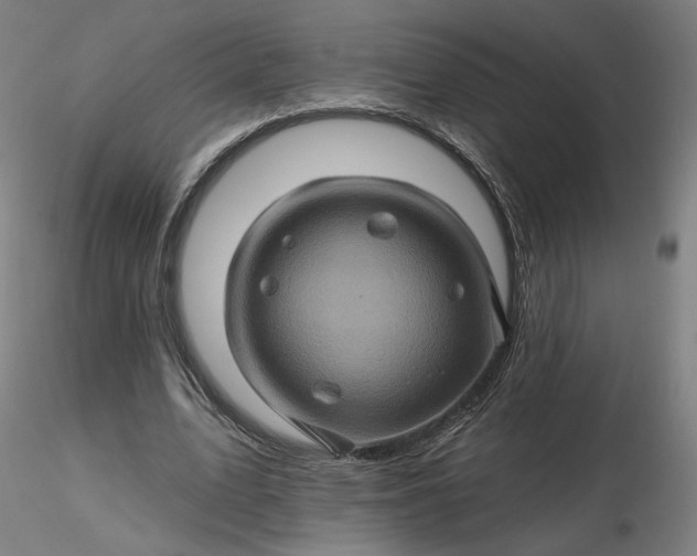 X0000116490583200912231153