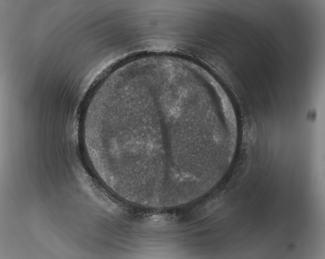 X0000116490584200912231153