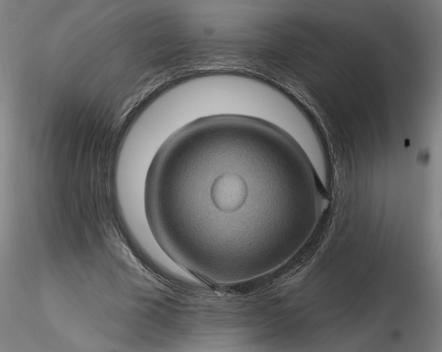 X0000116490585200912231153