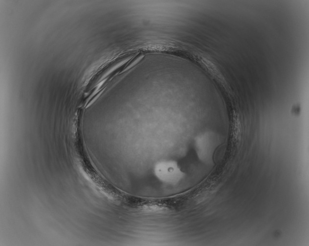 X0000116490586200912231153