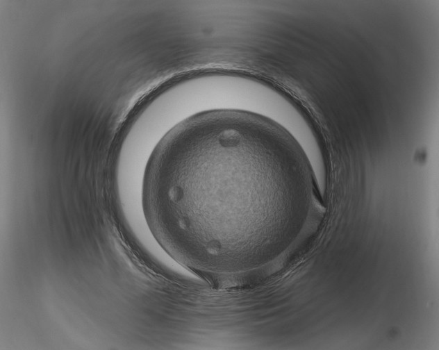 X0000116490588200912231153