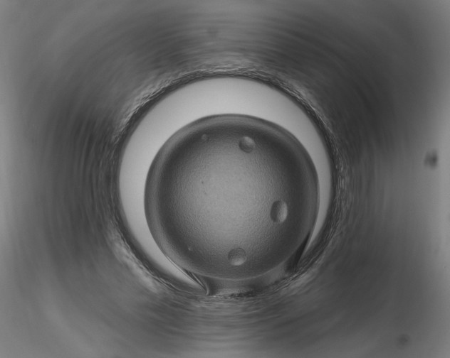 X0000116490589200912231153