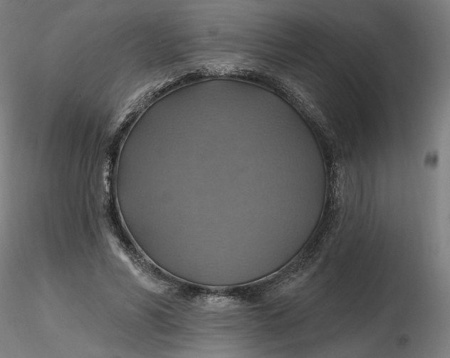 X0000116490590200912231153