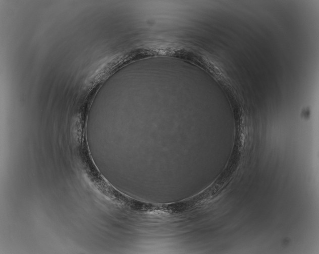 X0000116490594200912231153