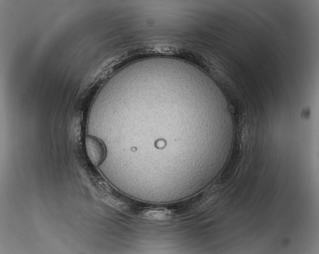 X0000116490595200912231153