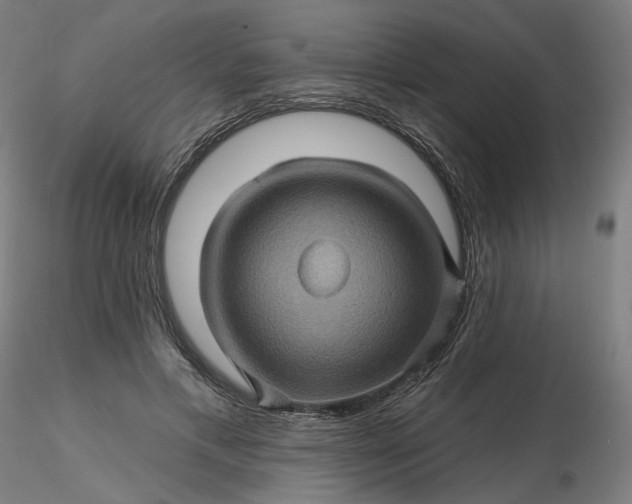 X0000116490597200912231153