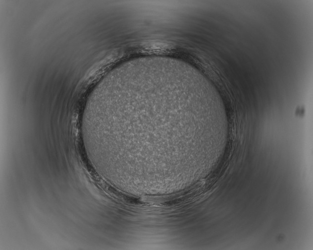 X0000116490599200912231153