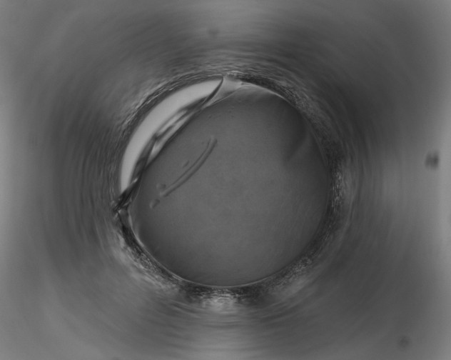 X0000116490600200912231153