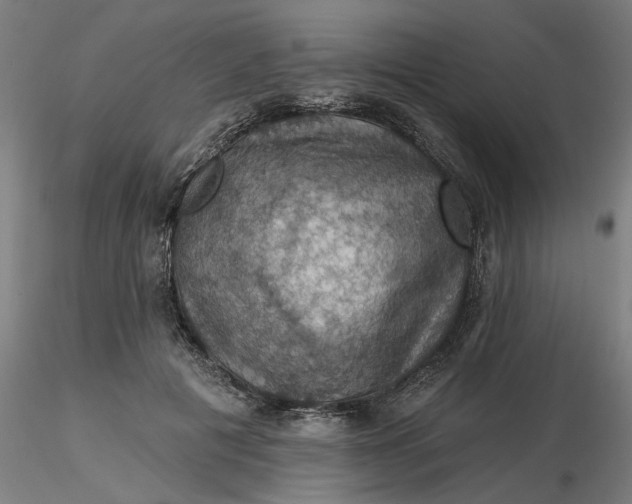 X0000116490601200912231153