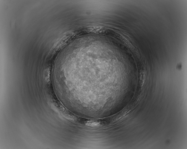 X0000116490602200912231153